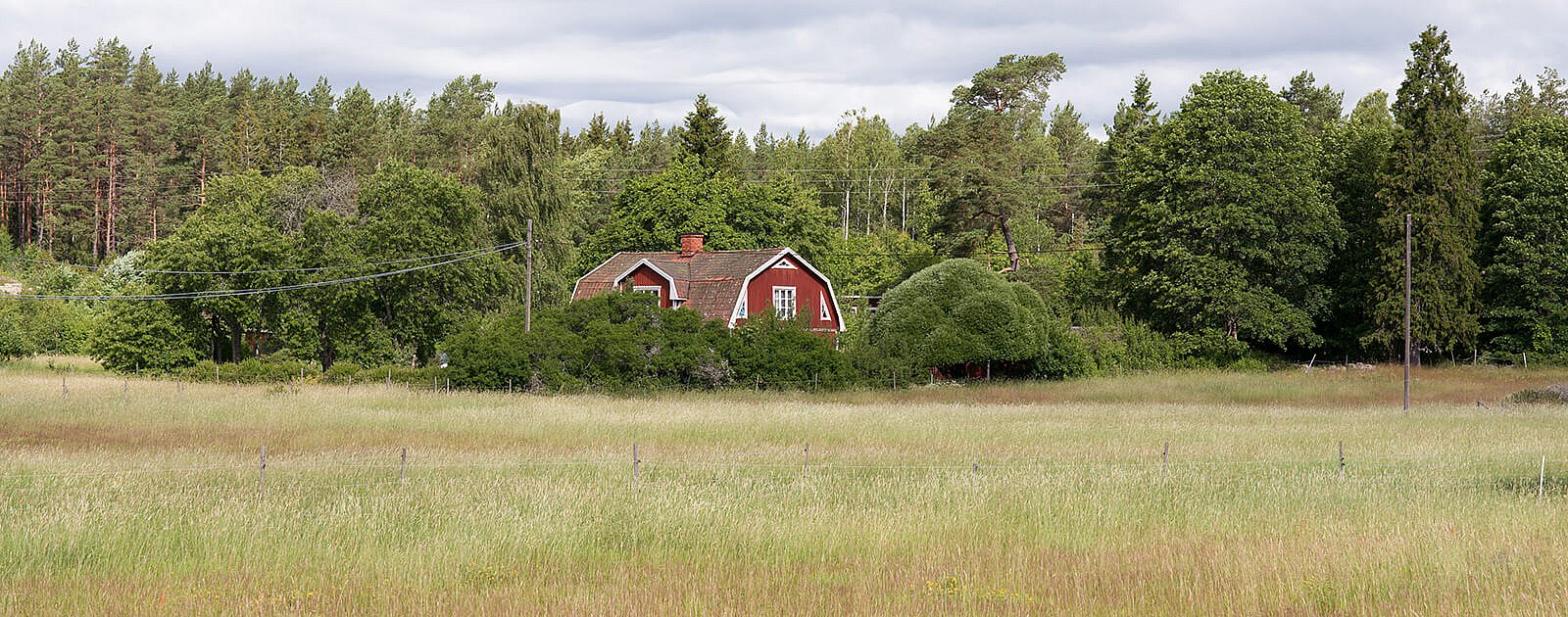 Mark och arrenden