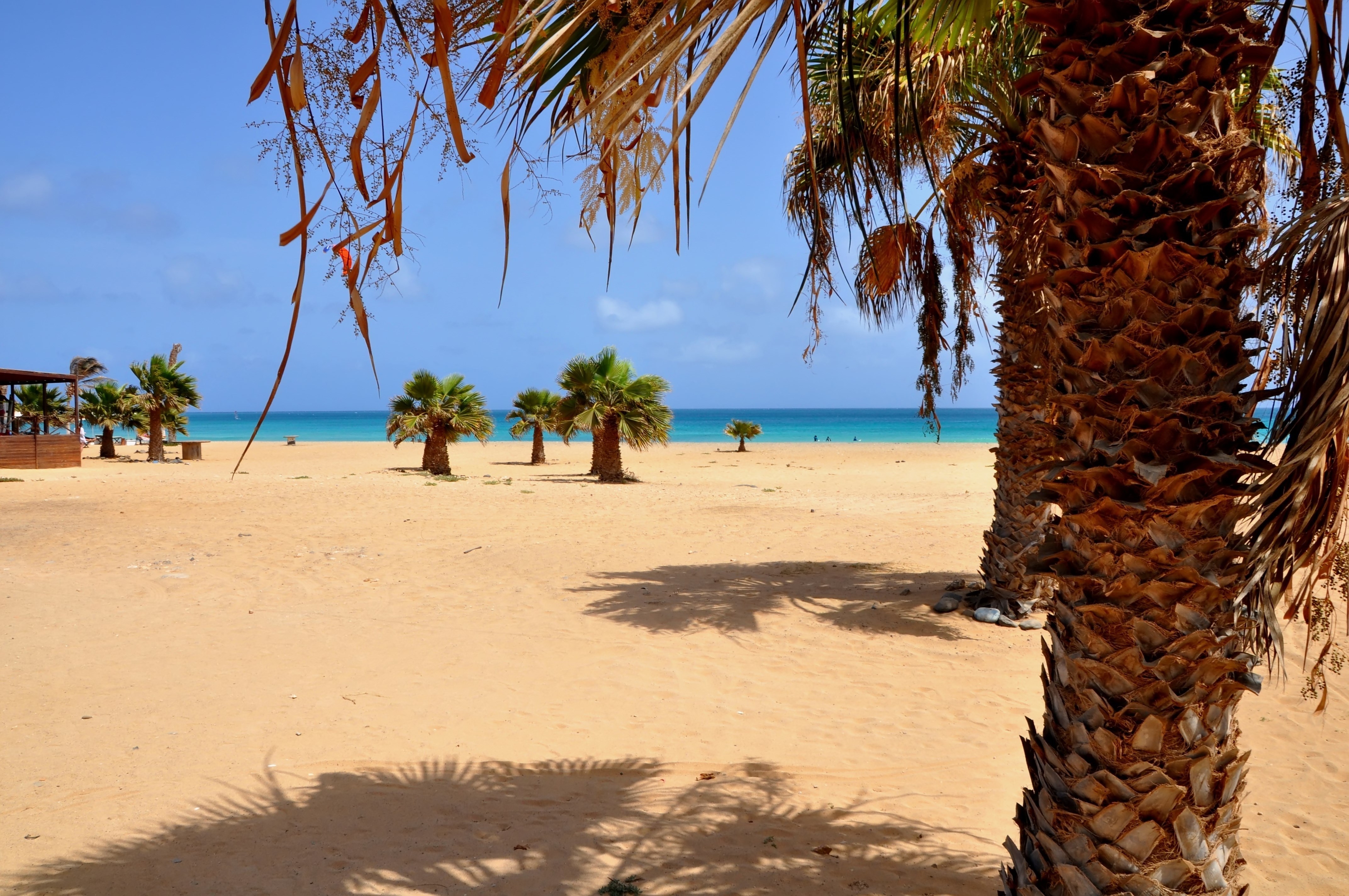 The beautiful beach of Santa Maria, Sal, Cape Verde