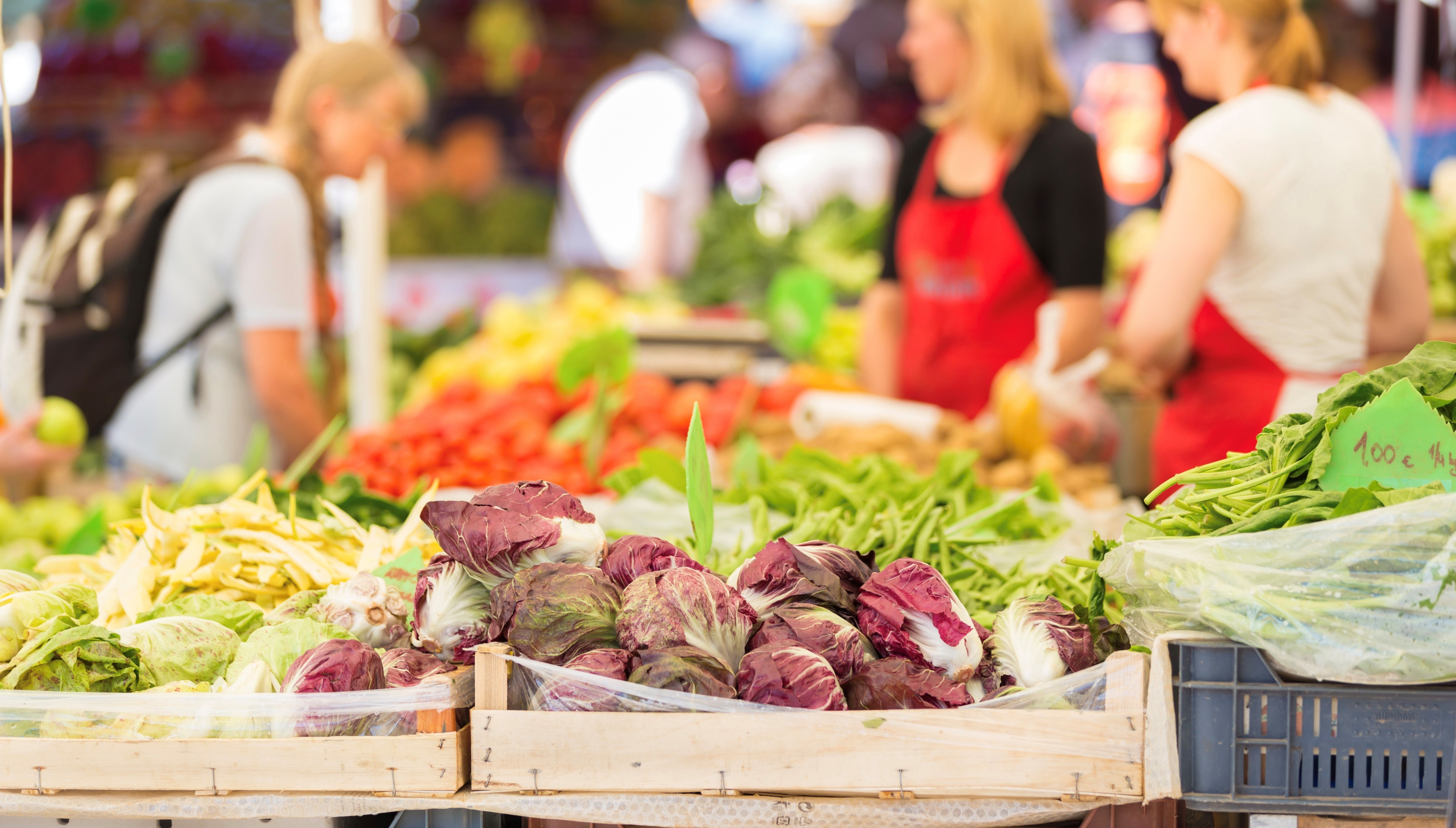 Farmers' market stall with variety of organic vegetable