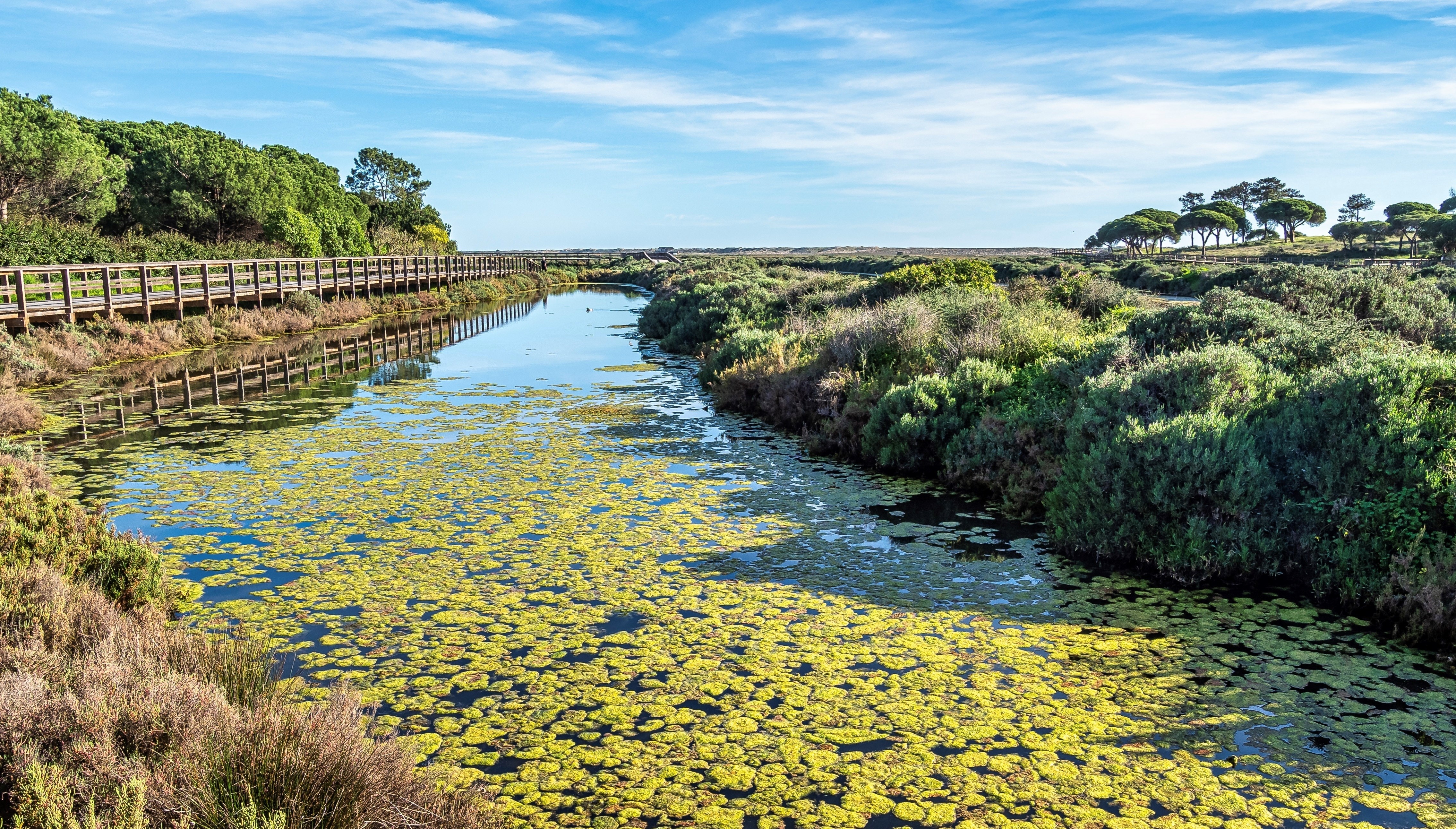 Landscape view of Parque Natural da Ria Formosa near Faro in Portugal