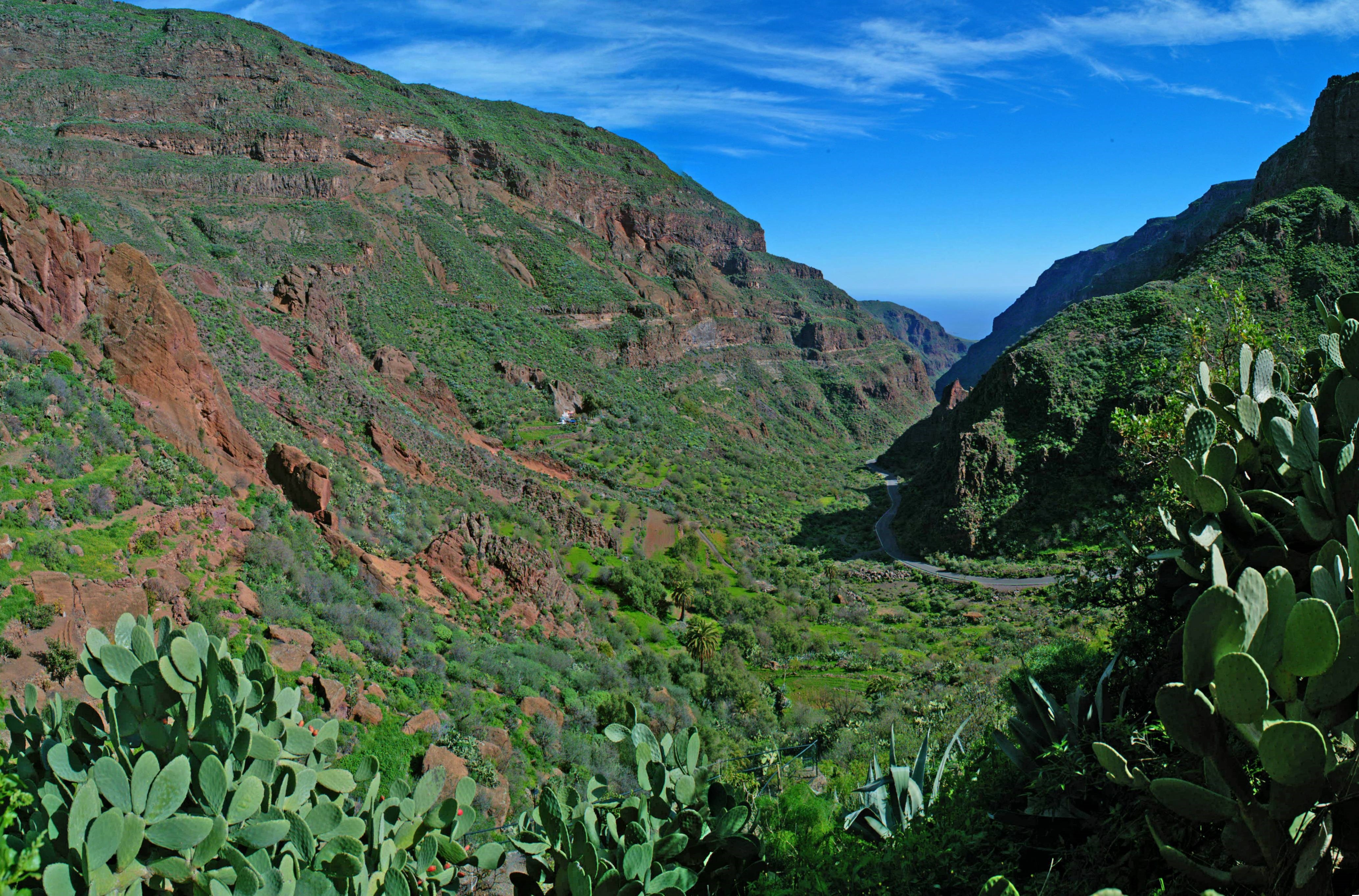 Barranco de Guayadeque